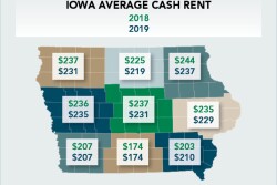 Cash rents in Iowa are down 1.4% to an average of $219 per acre for the 2019 crop year, according to an annual survey conducted by Iowa State University.