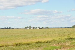 Prevented planting decisions are always difficult, but market and policy dynamics make 2019 decisions even more difficult.