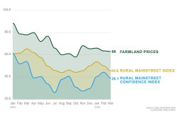 Rural Mainstreet Index