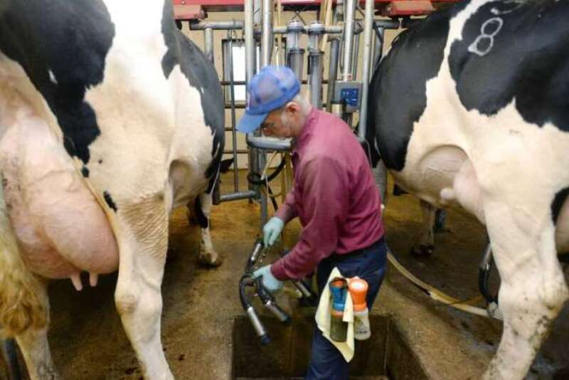 Dean Curtis milks some of his 150 dairy cows on at Curtis Farms in Venango Township, Erie County, Pa.