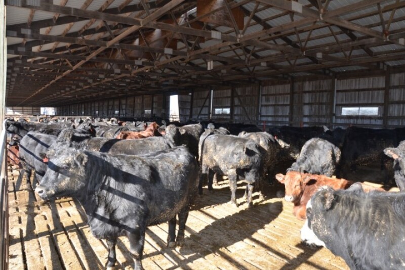 BT_Cattle_Slated_Floor_Building