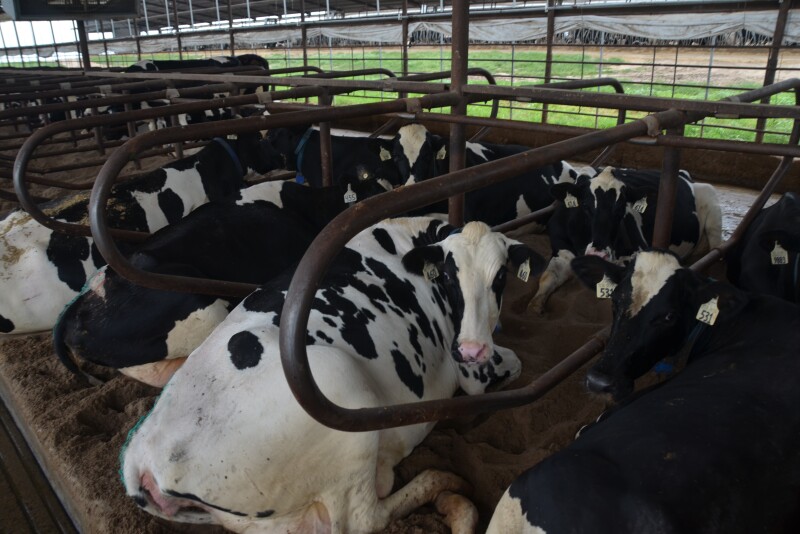 “Adoption of this rule without change will simply put a halt to livestock expansion in the state,” said Cindy Leitner, president of the Wisconsin Dairy Alliance, which represents factory farms.
