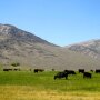 Lost Peaks Ranch
