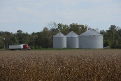 Grain Bins