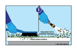 The document details four steps to cleaning.