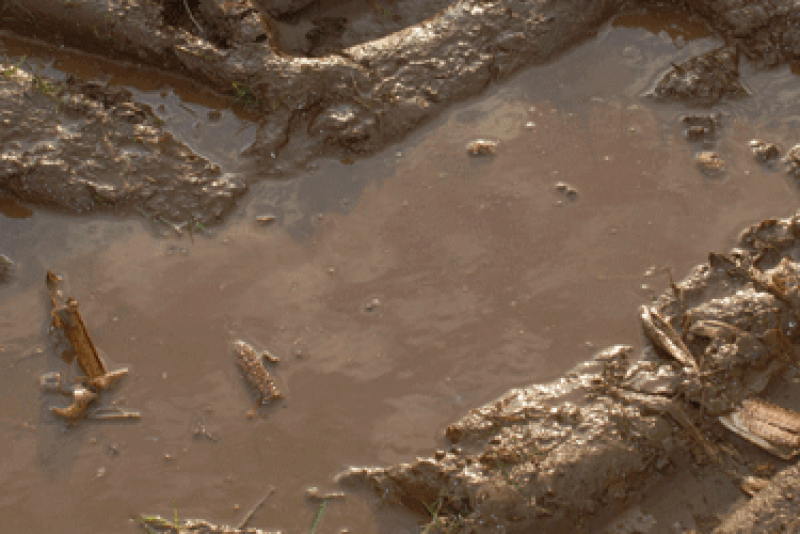Waterlogged fields are slowing the planting process in some parts of the country.