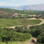 Oppy has partnered with Orchard View Inc. for 10 years.