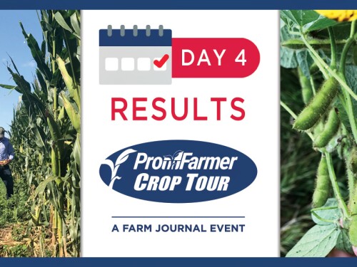 Pro Farmer Crop Tour, Day 4