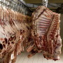 Beef carcasses