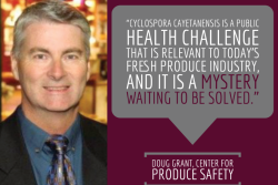 Oppy's Doug Grant, who chairs the Center for Produce Safety’s Knowledge Transfer Task Force, writes about the research CPS is funding for the benefit of the produce industry.