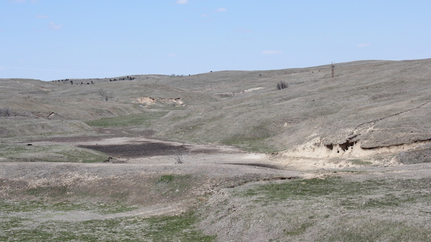Increasing the Resilience of the Beef Cattle Supply: Impact of Drought ...