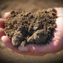 If soil has good structure for its type, it will have macropores, which contain water and oxygen. As soils get healthier, structure improves downward through the profile, creating the opportunity for healthier and more resilient crops.