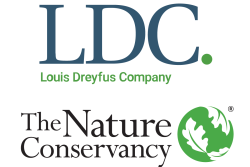 LDC - TNC-01.png