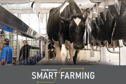 Smart Farm Cow