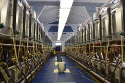 March milk production grew 0.5% versus the prior year, marking the ninth consecutive month of year-over-year growth.