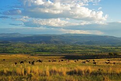 Scenic Mesa Ranch CO