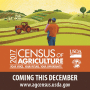 Census