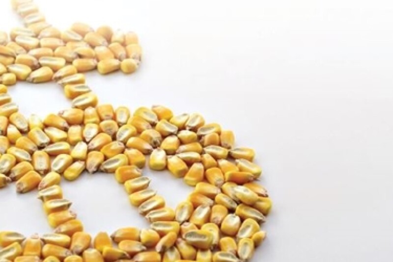 corn dollar sign