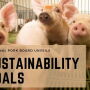 Sustainability Goals