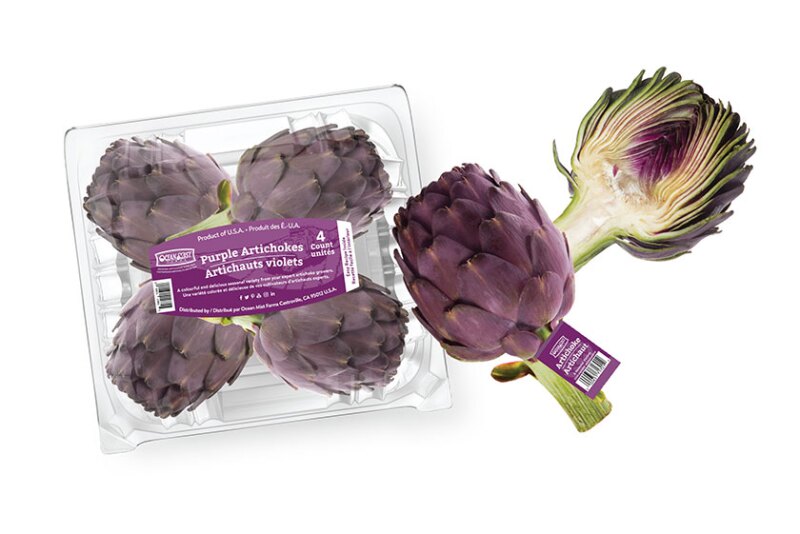 OMF_Purple-Artichoke.jpg