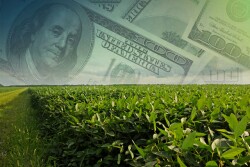 The Documents You Need to Receive a Tariff Payment