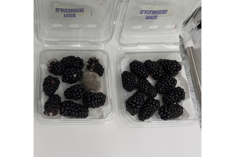 blackberries