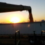 Harvest in Jackson County, Iowa