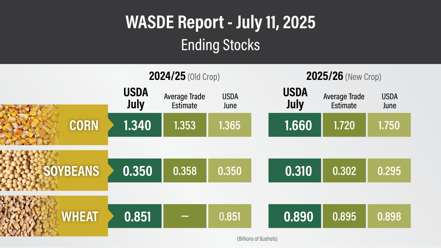 Wasdwe Friendly WASDE Report from USDA Fails to Rally the Corn Market - AgWeb