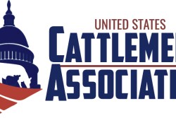 USCA logo