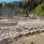 Utah sheep ranch