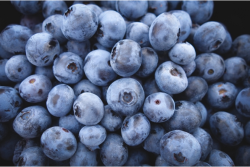 25B30C3D-51C0-434D-93B7AB68695C05DB.png