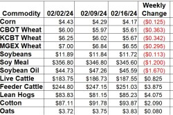 Weekly Change 2-16_0.jpg