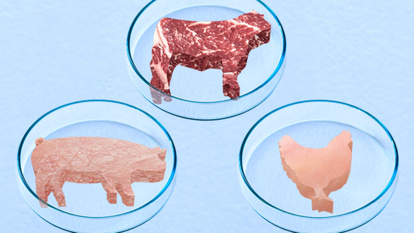 Bioengineering Meat $10-Million USDA Grant to Develop Cell-Cultivated Meat in Bioreactors ...