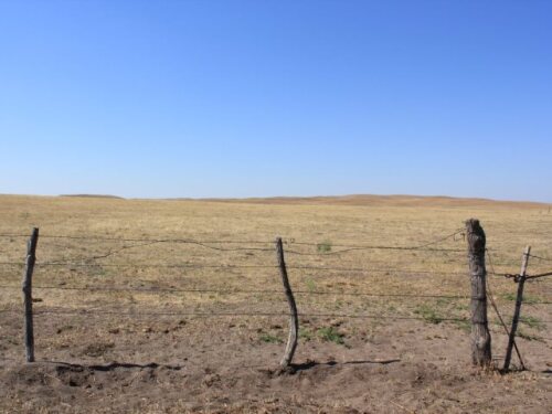 BT_Drought_Pasture_Nebraska.jpg