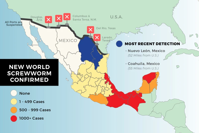 Inching Closer: New World Screwworm Now 52 Miles from Border