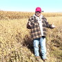 Soybean Harvest