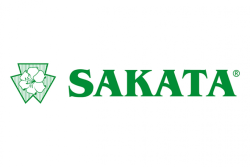 sakata