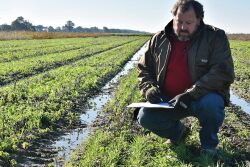Brad Doyle in field