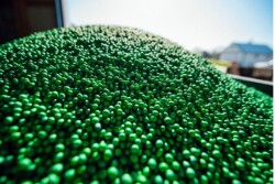 Using a premium seed treatment provides an extra measure of protection for farmers’ seed investments.