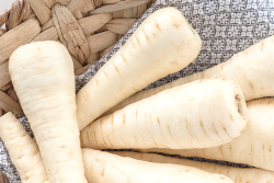 The white smooth-skin parsnip variety, known as Sabre.