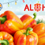 4BB38FB4-C9E7-478B-AD6EED05593AD01D.png