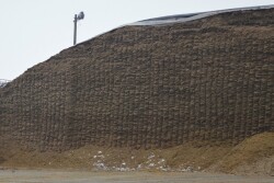 silage-pile_1.jpg