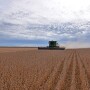 soybean harvest
