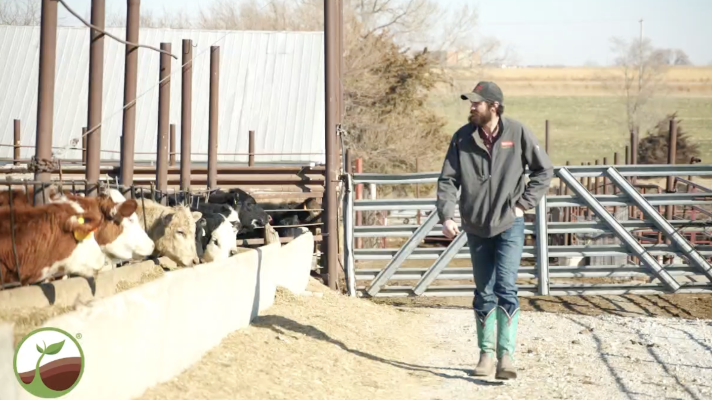 Proprietary Feeding System Improves Feed Efficiency and Carcass Yield -  Drovers, image size:1440x810