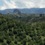 Index Fresh is importing avocados from Colombia for the third season.