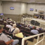 When a livestock dealer’s check bounces, should the farmer or rancher who raised the cattle be able to get them back?  