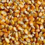 Corn