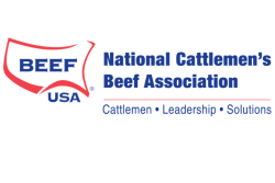 NCBA