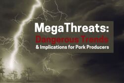 MegaThreats