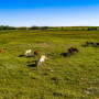 Minnechaduza Creek Ranch